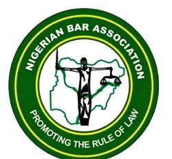 Firm faults NBA electoral committee portal