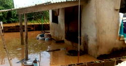 Flood sacks Anambra communities as philanthropist demands urgent action