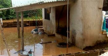 Flood sacks Anambra communities as philanthropist demands urgent action