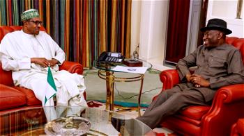 Video: Jonathan briefs Buhari on political crisis in Mali