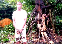 Rivers police nab two notorious kidnappers, recover skull, bones of victim