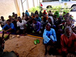 47 Boko Haram/ISWAP terrorists surrender, finger leadership crisis, failed promises from Commanders