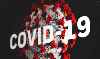 COVID-19: FG supports Ventilators, hand sanitizer manufacturing companies