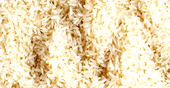COVID-19: Investors need to put resources into food production — Paul