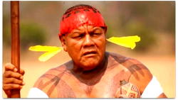Coronavirus kills leading Brazil indigenous chief, Aritana Yawalapiti