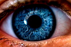 30m Nigerians living with disability, &nbsp;likely to go blind – Sightsavers