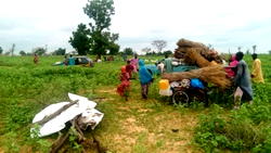 Just in: Scores killed, as Boko Haram seizes Borno communities