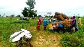 Just in: Scores killed, as Boko Haram seizes Borno communities