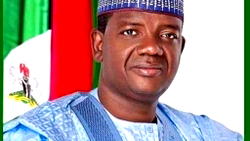 Nigeria needs your expertise, Defence minister to retired officers