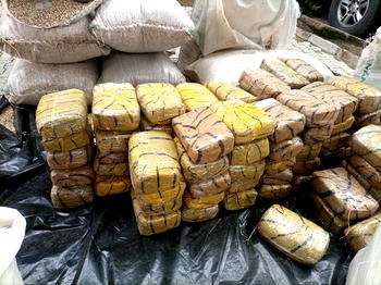 VIDEO: Customs arrest 15 smugglers, seized contraband items worth N80m in Kano