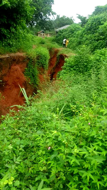 Gully erosion swallows Imo community