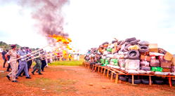 Lalong fumes as NDLEA destroys over 16KG of illicit drugs in Plateau