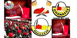 We’ll decide who to support after all presidential candidates emerge — Ohanaeze