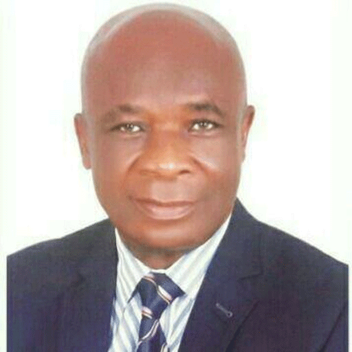 TETFund appoints Prof Anibeze Coordinating Editor for anatomy book