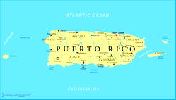 CEO of Puerto Rico’s power company to resign amid outages