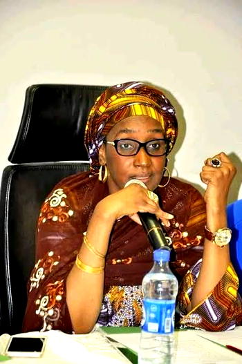 Hajiya Farouq factor as N-Power empowers Nigerians power