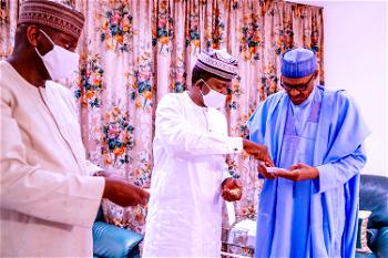 Solid Minerals: President Buhari receives briefing from Gov Matawalle (photos)