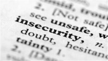 Insecurity: ActionAid calls on FG to overhaul security architecture