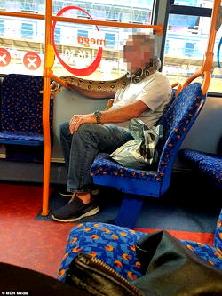 Man in commercial bus spotted wearing SNAKE instead of face mask