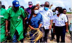 10,000 farmers benefited from Lagos APPEALS project despite pandemic—  Sagoe-Oviebo