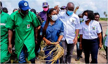 10,000 farmers benefited from Lagos APPEALS project despite pandemic—  Sagoe-Oviebo