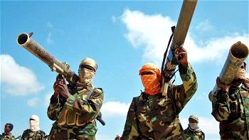 14 al-Shabab militants killed by Somali army