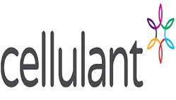 Ex-employee sues Cellulant N529m over ‘wrongful’ termination of employment