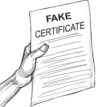 Bonanza for certificate forgers