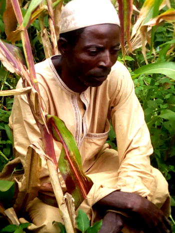 Police exhume baby buried alive by grandfather in Bauchi