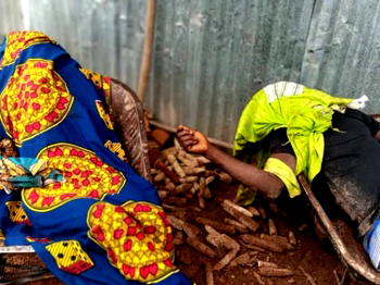 Unknown gunmen kill two farmers in Nasarawa