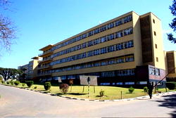 ODD NEWS: Wife bites husband’s penis for refusing to kill rat in her bedroom