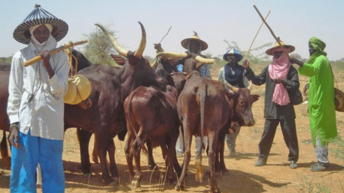 The herdsmen, tribesmen and statesmen: Discordant cord of three strands