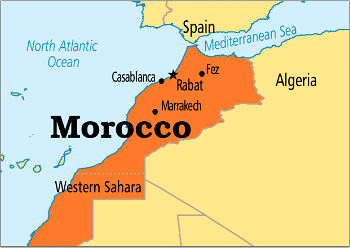 Morocco seizes tonne of cannabis transported on camelback