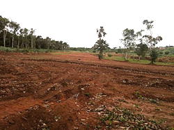 How land tussle tore apart Delta Kingdom
