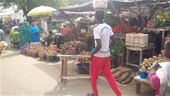 Zamfara people lament escalation of foodstuff prices