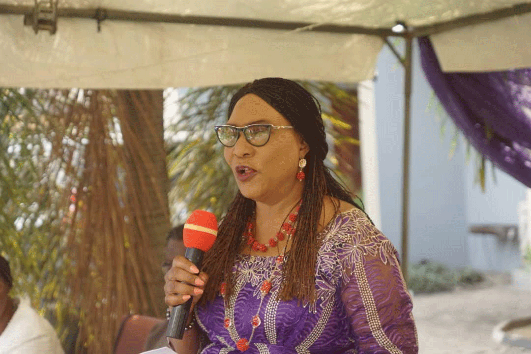 Nigerian Women Business Network holds summit