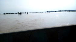 Kebbi floods: Nigeria-Niger Highway to be shut as govt relocates citizens