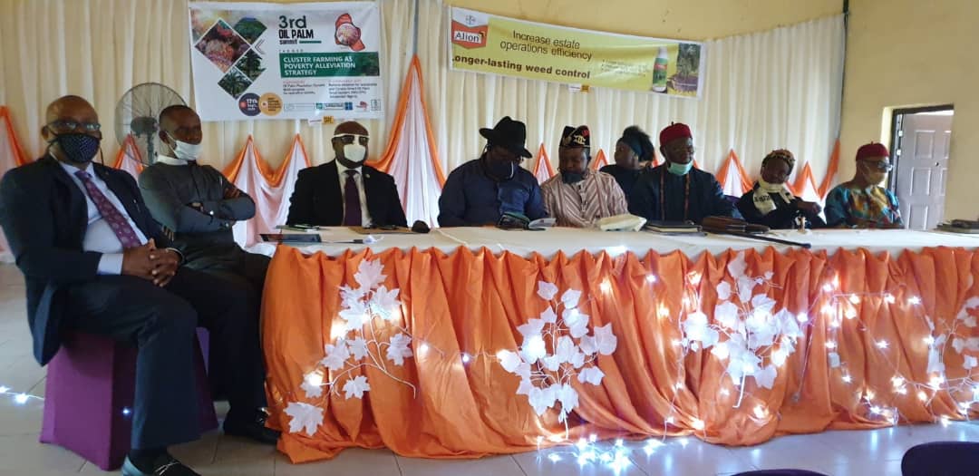 DIVERSIFICATION: A’Ibom Commissioner harps on improved oil palm yields