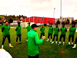 Friendlies: Super Eagles ready for big games