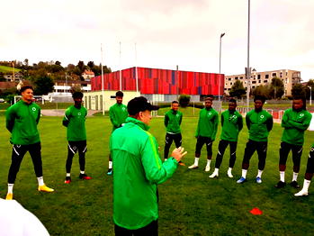 Friendlies: Super Eagles ready for big games