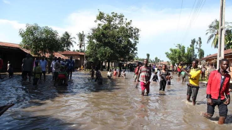 Oba’s palace submerged in flood, residents rendered homeless in Ekiti