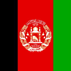 Afghan destruction must be stopped