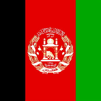 How insurgents killed 20 soldiers Afghanistan