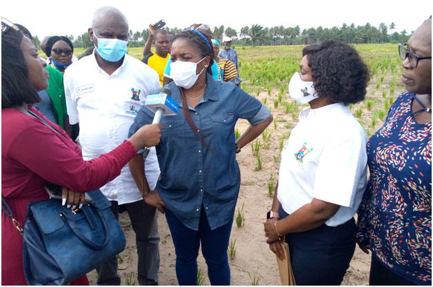 Abisola Olusanya: New advocate for agriculture