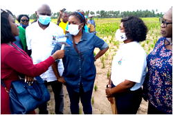 Abisola Olusanya: New advocate for agriculture