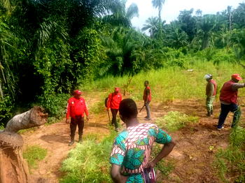 NDLEA destroy N1.5B worth of marijuana farm in Kogi