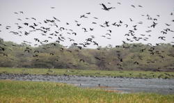 UNESCO approves 3 additional biosphere reserves for Nigeria