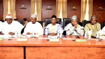 Genuine synergy among Northern Governors will end insecurity – AYDF