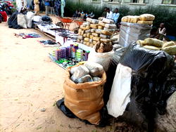 Police arrest 242 criminal suspects in Kano