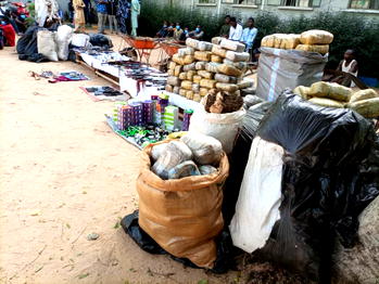 Police arrest 242 criminal suspects in Kano